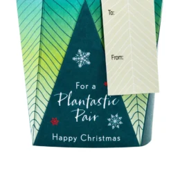 Hallmark Christmas Paper Wonder Card For Both Of You - 3D Pop Up Plant Design -Pod Shop 25547468 2 scaled