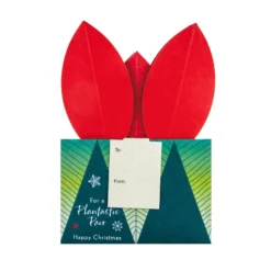 Hallmark Christmas Paper Wonder Card For Both Of You - 3D Pop Up Plant Design -Pod Shop 25547468 4 scaled