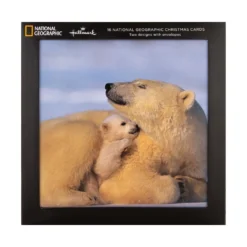 Hallmark Christmas Cards - Pack Of 16 In 2 Bear And Penguin National Geographic Designs