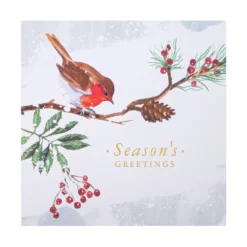 Hallmark Charity Christmas Cards - Pack Of 16 In 2 Robin Designs -Pod Shop 25572285 5 scaled