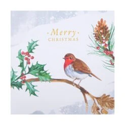 Hallmark Charity Christmas Cards - Pack Of 16 In 2 Robin Designs -Pod Shop 25572285 6