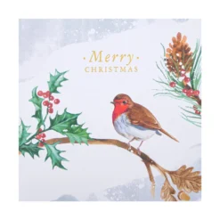 Hallmark Charity Christmas Cards - Pack Of 16 In 2 Robin Designs -Pod Shop 25572285 6 scaled