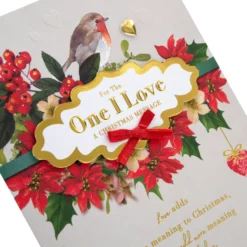 Hallmark Medium Luxury Boxed Christmas Card For One I Love - Traditional Robin And Foliage Design 13 Hallmark Medium Luxury Boxed Christmas Card For One I Love - Traditional Robin And Foliage Design -Pod Shop 25575221 6 scaled