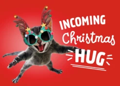 Pod Personalised Funny Cat Hug Christmas Card