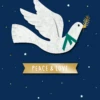 Pod Personalised White Peace Dove Christmas Card