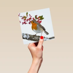 Pod Personalised National Geographic Photographic Robin Christmas Card -Pod Shop F3005514 hand L