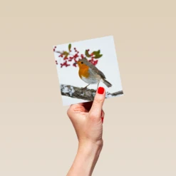 Pod Personalised National Geographic Photographic Robin Christmas Card -Pod Shop F3005514 hand S