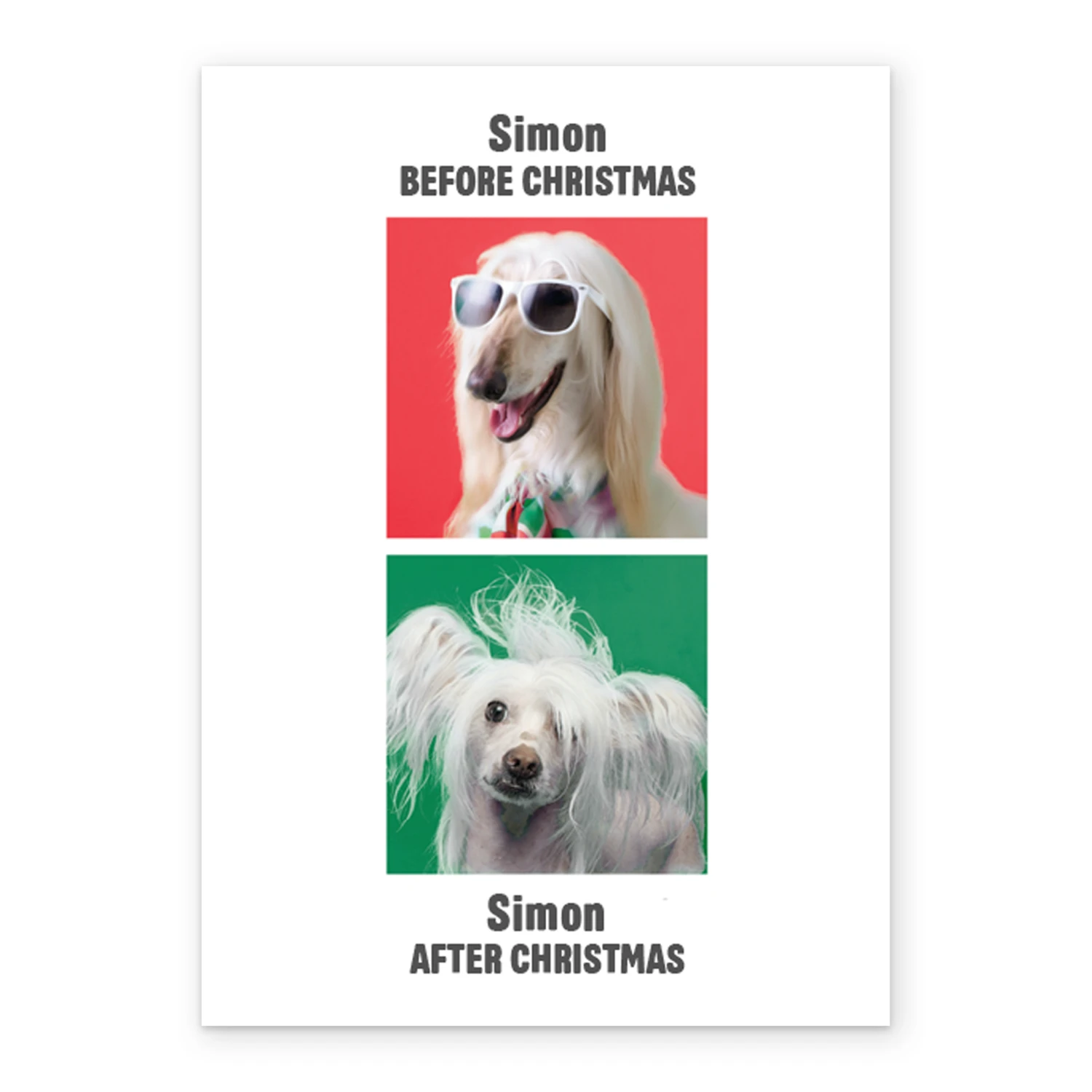 Pod Personalised Funny Dogs Christmas Card 2 Pod Personalised Funny Dogs Christmas Card - Image 2