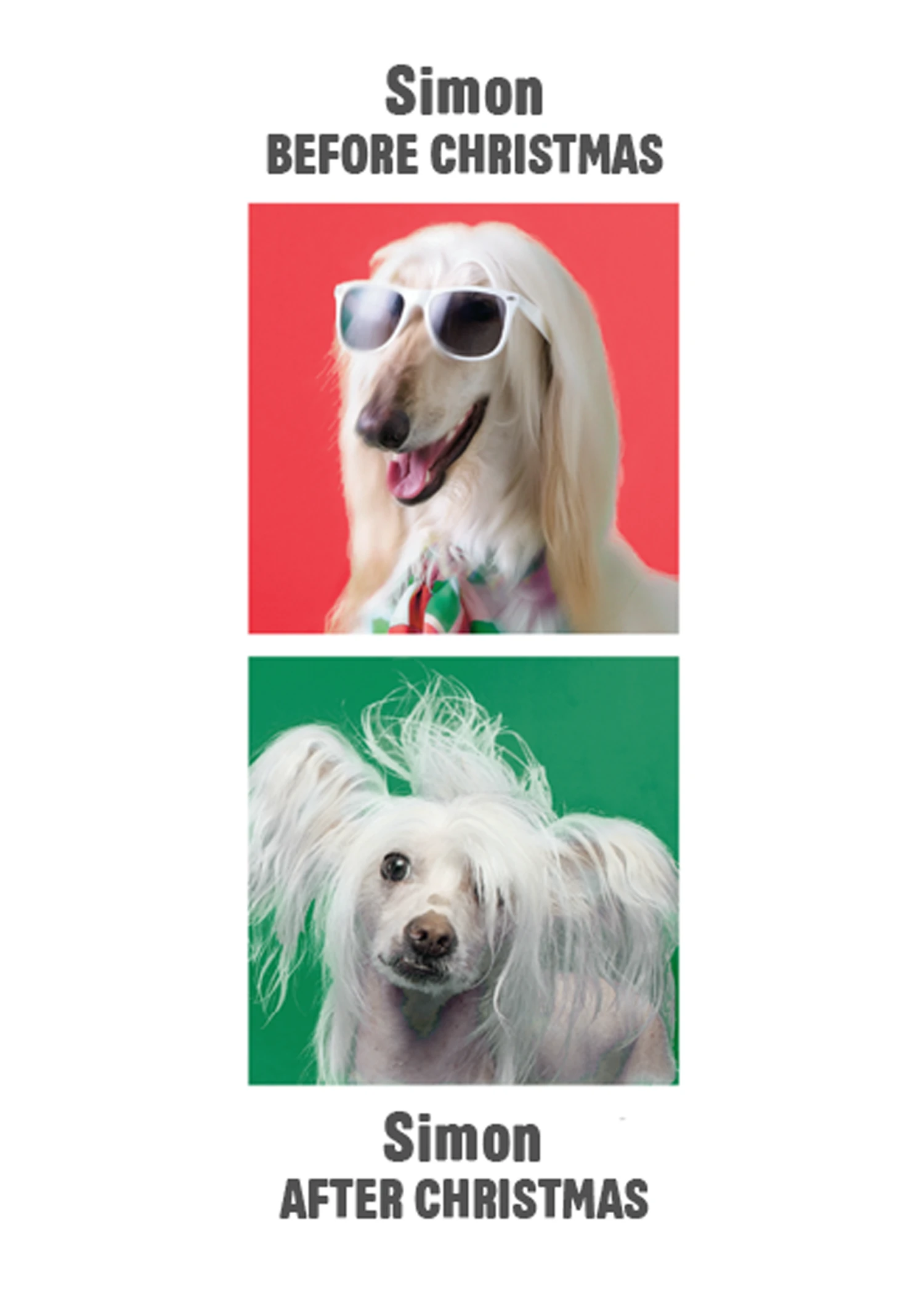 Pod Personalised Funny Dogs Christmas Card 1 Pod Personalised Funny Dogs Christmas Card