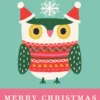 Pod Personalised Kids Editable Cute Owl Christmas Jumper Card
