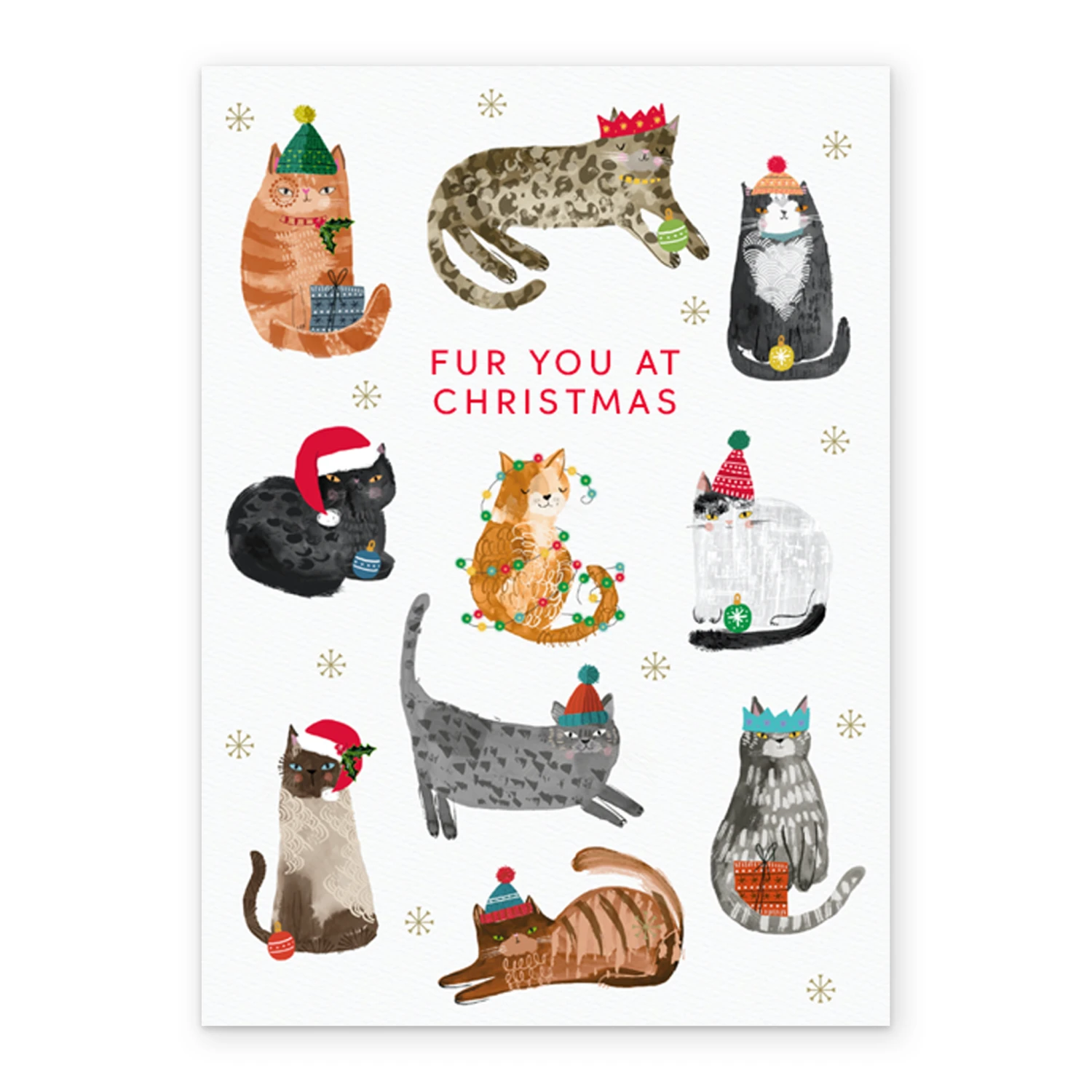 Pod Personalised Classic Christmas Pet Editable Fur You Cats Card 2 Pod Personalised Classic Christmas Pet Editable Fur You Cats Card - Image 2