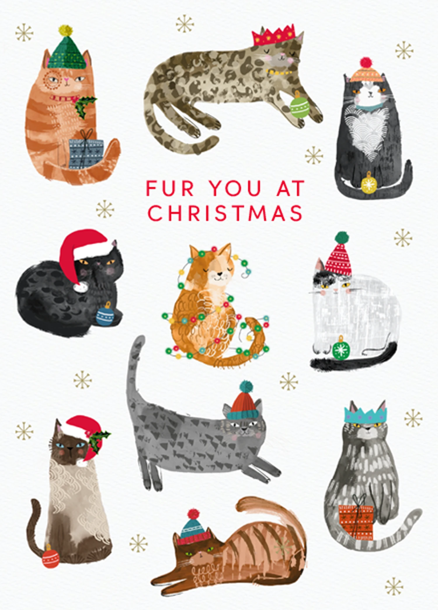 Pod Personalised Classic Christmas Pet Editable Fur You Cats Card 1 Pod Personalised Classic Christmas Pet Editable Fur You Cats Card