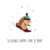 Pod Personalised Cute Hedgehog Skis Sliding Home For Christmas Card