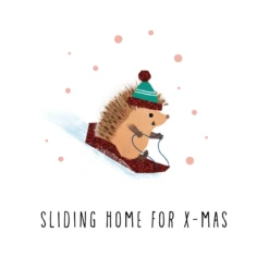 Pod Personalised Cute Hedgehog Skis Sliding Home For Christmas Card