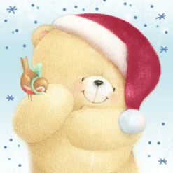 Pod Personalised Cute Kids Forever Friends Robin Christmas Card