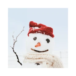 Pod Personalised Modern Christmas Photographic Snowman Card