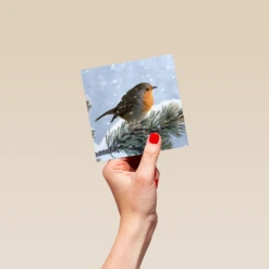 Pod Personalised Modern Christmas Photographic Robin Wildlife Card -Pod Shop F3005964 hand S