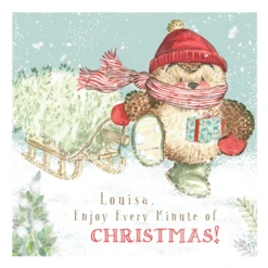 Pod Personalised Cute Christmas Country Companions Hedgehog Card