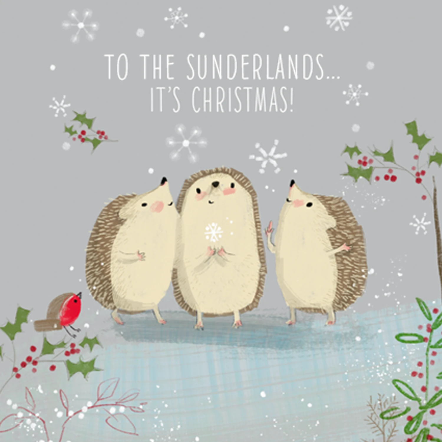 Pod Personalised Cute Christmas To All Family Hedgehogs Card 1 Pod Personalised Cute Christmas To All Family Hedgehogs Card