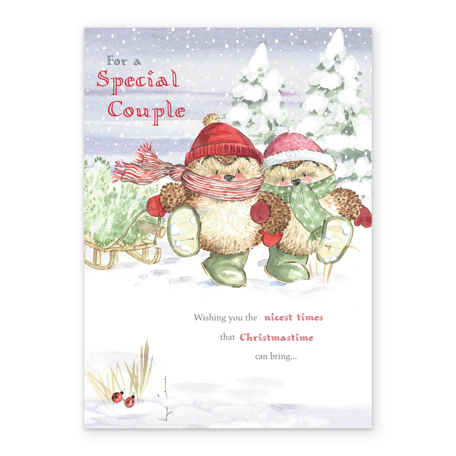 Pod Personalised Special Couple Cute Christmas Country Companions Card 2 Pod Personalised Special Couple Cute Christmas Country Companions Card - Image 2