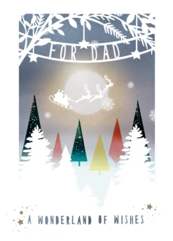 Pod Personalised Dad Flying Santa Sleigh Silhouette Christmas Card