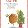 Pod Personalised Sister Funny Pudding Christmas Card