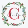 Pod Personalised Wreath Monogram Letter C Christmas Card