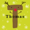 Pod Personalised Reindeer Monogram Letter T Christmas Card