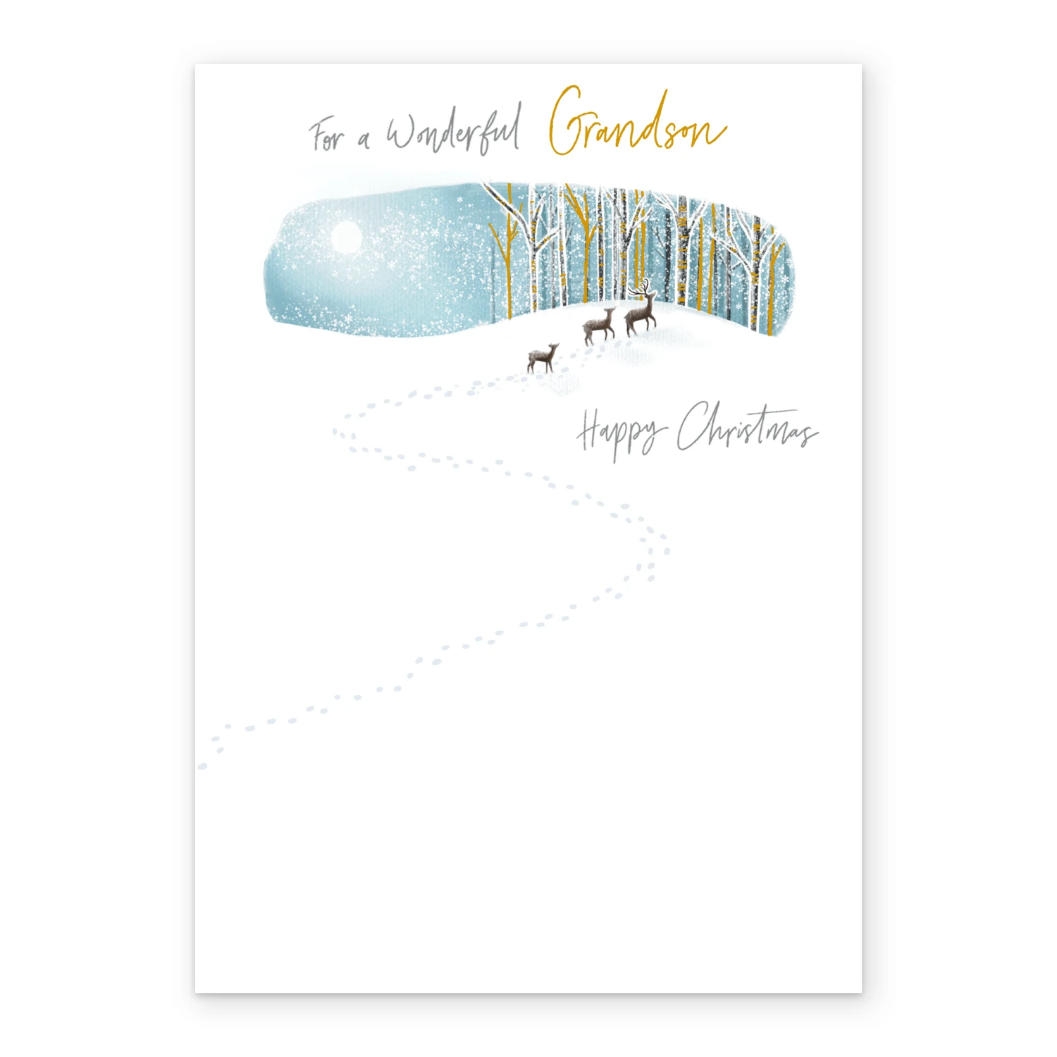 Pod Personalised Grandson Classic Snow Design Christmas Card 2 Pod Personalised Grandson Classic Snow Design Christmas Card - Image 2