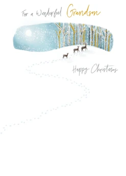 Pod Personalised Grandson Classic Snow Design Christmas Card