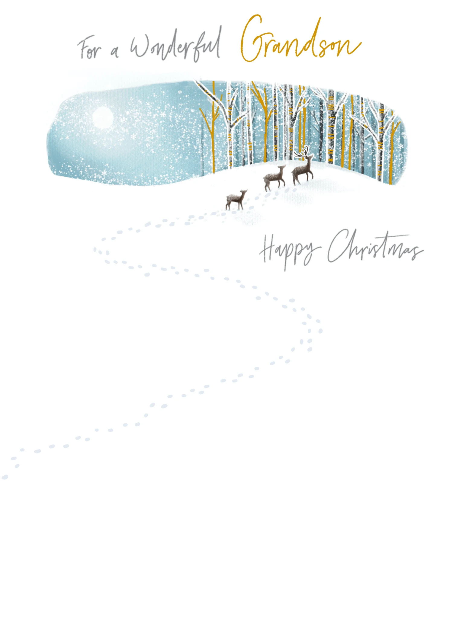 Pod Personalised Grandson Classic Snow Design Christmas Card 1 Pod Personalised Grandson Classic Snow Design Christmas Card