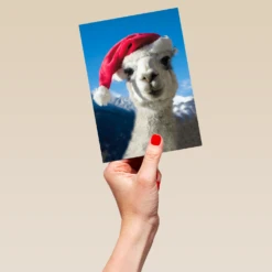 Pod Personalised Llama In A Christmas Hat Card -Pod Shop F3100089 hand L