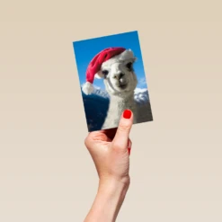 Pod Personalised Llama In A Christmas Hat Card -Pod Shop F3100089 hand S