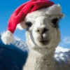 Pod Personalised Llama In A Christmas Hat Card