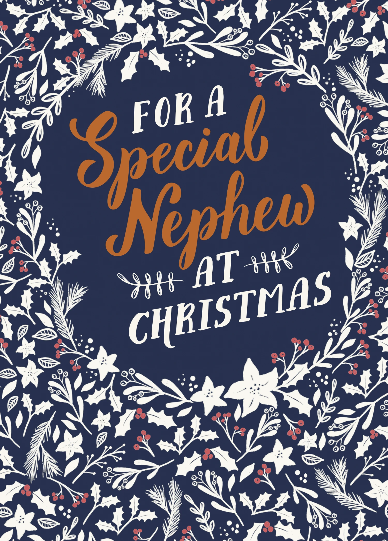 Pod Personalised Festive Winter Nephew Christmas Card 1 Pod Personalised Festive Winter Nephew Christmas Card