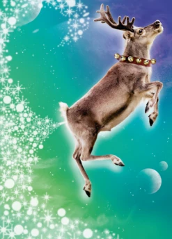 Pod Personalised Funny Flying Reindeer Christmas Card