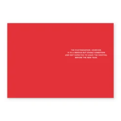 Pod Personalised Shoebox Cat Christmas Card -Pod Shop F3100258 alt2