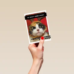 Pod Personalised Shoebox Cat Christmas Card -Pod Shop F3100258 hand S