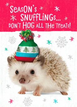 Pod Personalised Hedgehog Season Treats Christmas Card