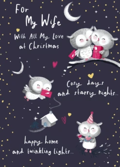 Pod Personalised Wife Cute Owls Christmas Card