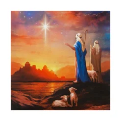 Hallmark Charity Christmas Cards - Pack Of 16 In 2 Religious Designs -Pod Shop PV.502.25572286 scaled