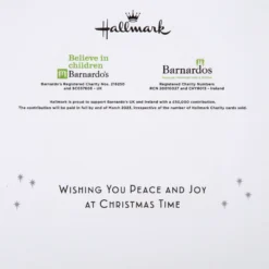 Hallmark Christmas Charity Cards - Pack Of 5 Premium Nativity Scene Design -Pod Shop PV.531.25572272 scaled